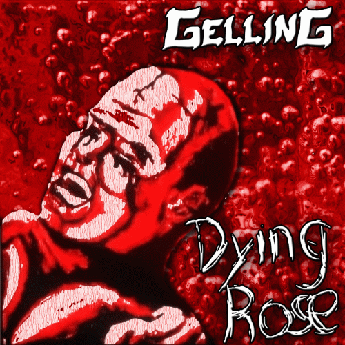 Gelling : Dying Rose